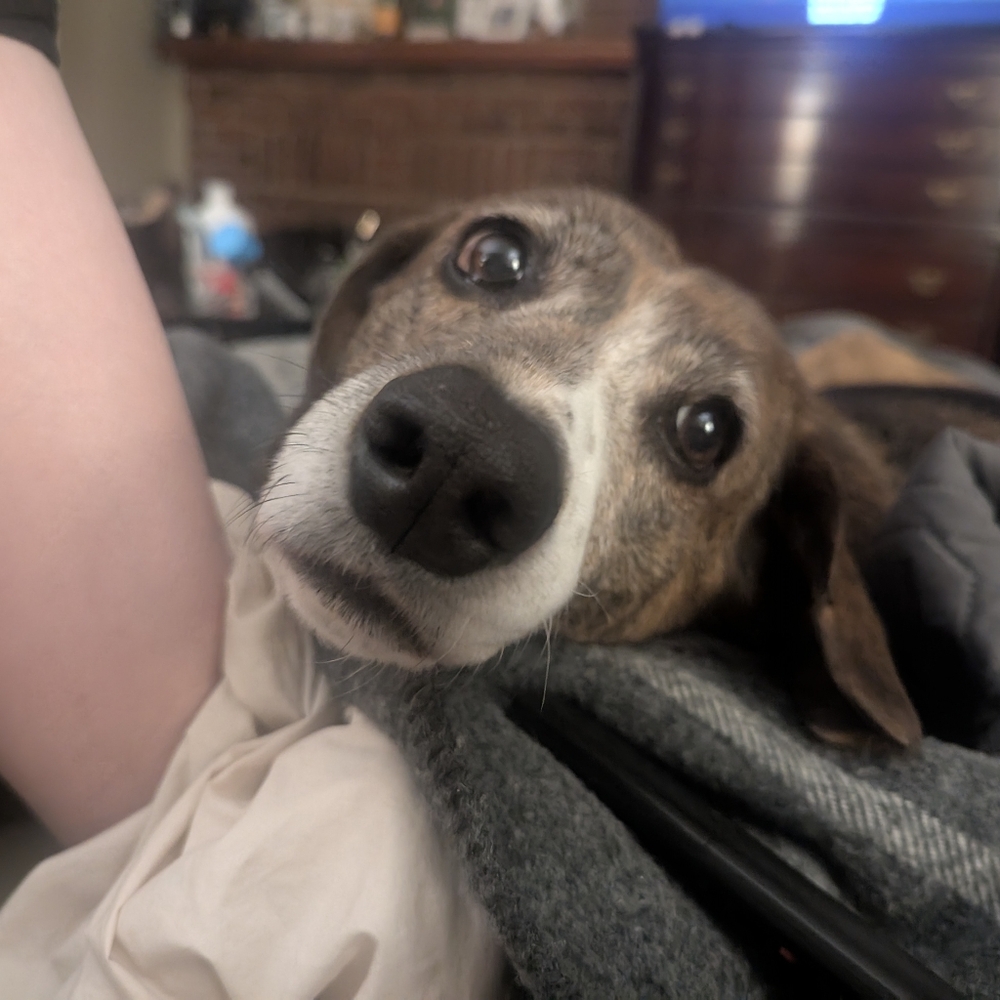 Meet your Posher, Erica